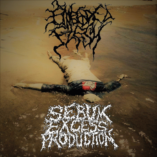 Sebum Excess Production : Embedded Flesh - Sebum Excess Production